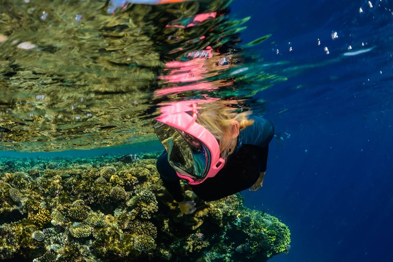 OCEANREEF OCEAN REEF - Aria QR + Quick Release Snorkeling Mask - Full Face Snorkeling Mask - 180 Degree Underwater Vision - 5 Colors and 3 Sizes - Pink Color - Size M/L - Image 4